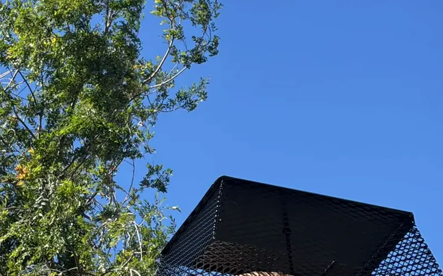 Stainless chimney cap with spark-arrestor mesh